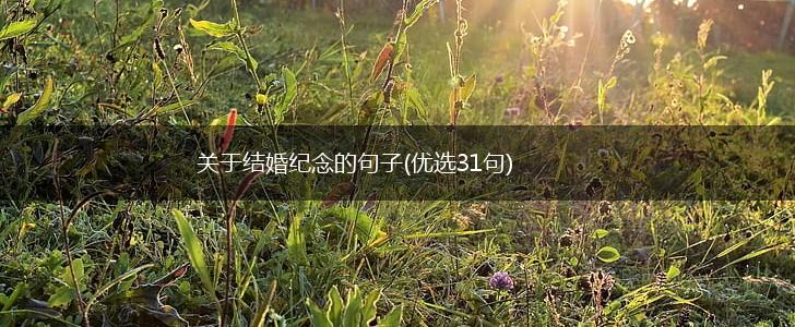 关于结婚纪念的句子(优选31句),第1张
