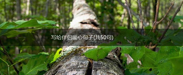 写给伴侣暖心句子(共50句),第1张
