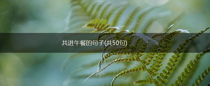 共进午餐的句子(共50句),第1张