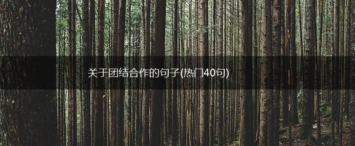 关于团结合作的句子(热门40句),第1张