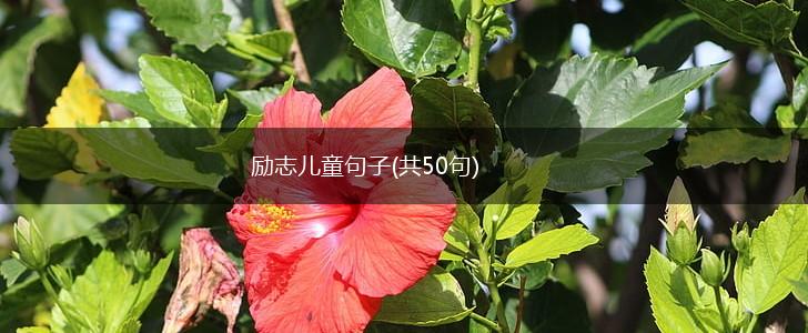 励志儿童句子(共50句),第1张