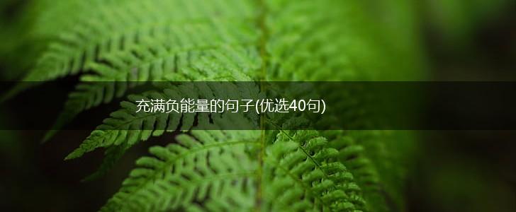 充满负能量的句子(优选40句),第1张