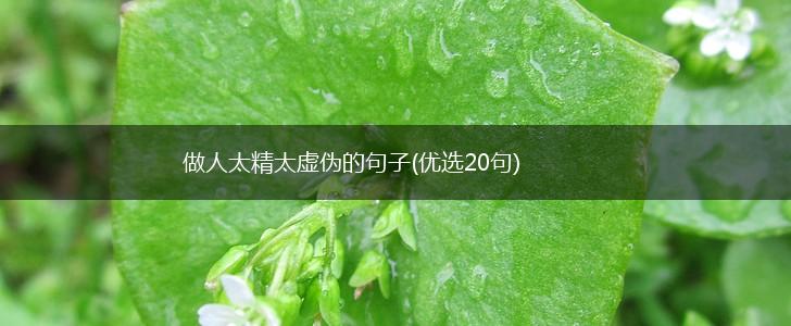 做人太精太虚伪的句子(优选20句),第1张