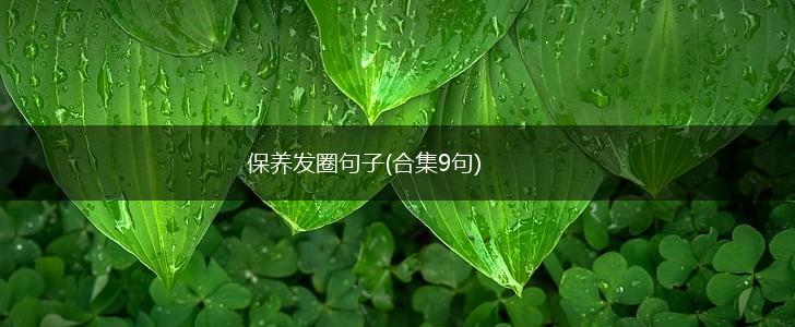 保养发圈句子(合集9句),第1张