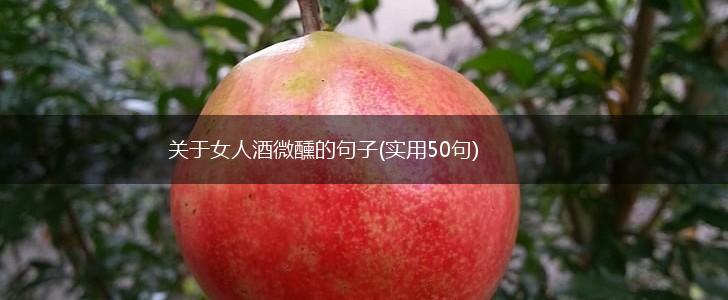 关于女人酒微醺的句子(实用50句),第1张