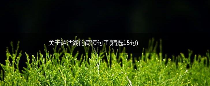 关于泸沽湖的简短句子(精选15句),第1张