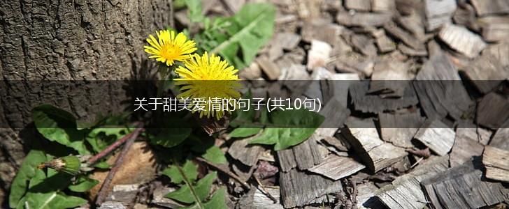 关于甜美爱情的句子(共10句),第1张