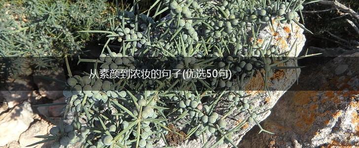 从素颜到浓妆的句子(优选50句),第1张