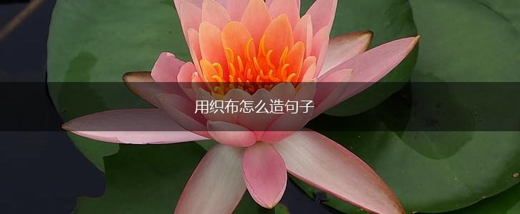 用织布怎么造句子,第1张