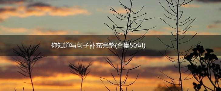 你知道写句子补充完整(合集50句),第1张