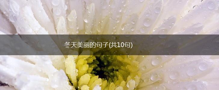 冬天美丽的句子(共10句),第1张