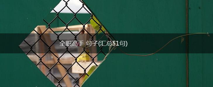 全职高手 句子(汇总51句),第1张