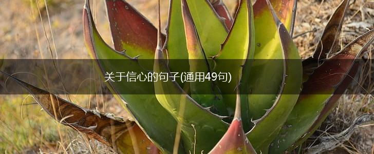 关于信心的句子(通用49句),第1张