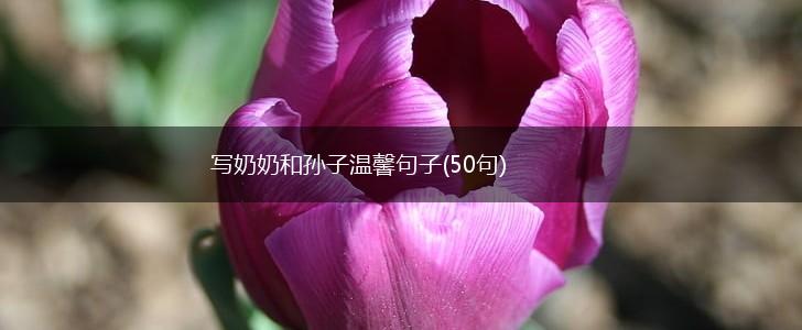 写奶奶和孙子温馨句子(50句),第1张