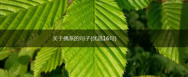 关于佛系的句子(优选16句),第1张