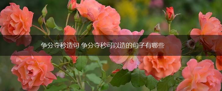 争分夺秒造句 争分夺秒可以造的句子有哪些,第1张