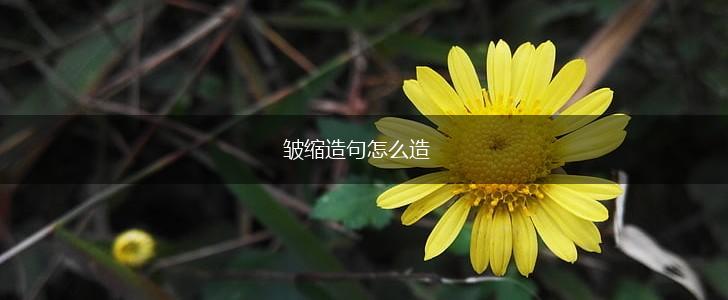 皱缩造句怎么造,第1张