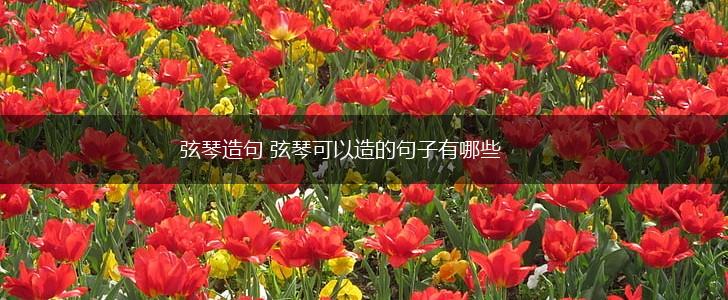 弦琴造句 弦琴可以造的句子有哪些,第1张