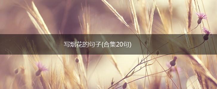 写烟花的句子(合集20句),第1张