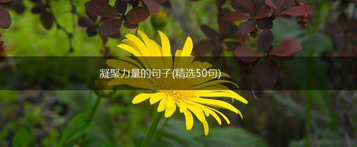 凝聚力量的句子(精选50句),第1张