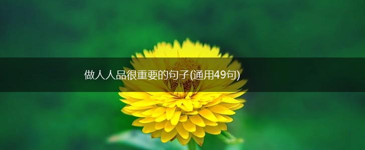 做人人品很重要的句子(通用49句),第1张