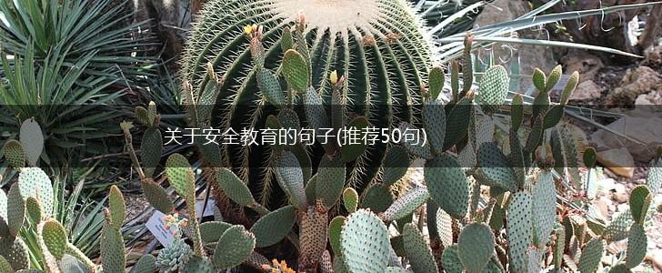 关于安全教育的句子(推荐50句),第1张