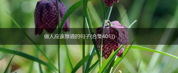 做人应该厚道的句子(合集40句),第1张