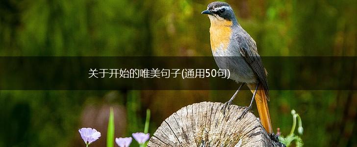 关于开始的唯美句子(通用50句),第1张