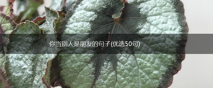 你当别人是朋友的句子(优选50句),第1张