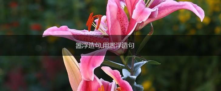 嚣浮造句,用嚣浮造句,第1张