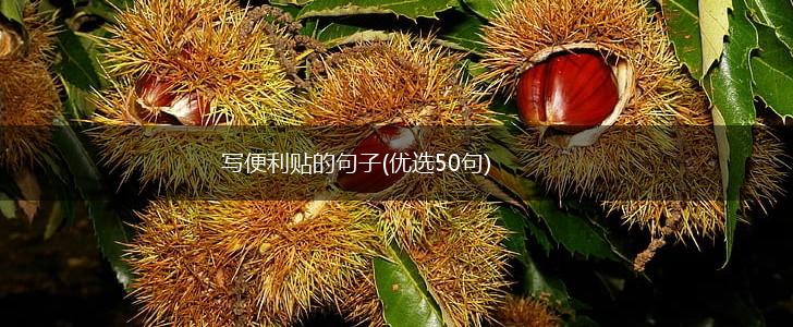 写便利贴的句子(优选50句),第1张