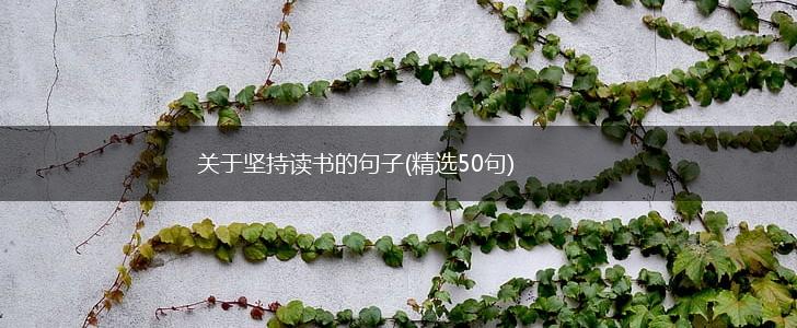 关于坚持读书的句子(精选50句),第1张