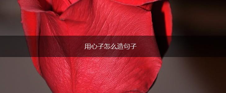 用心子怎么造句子,第1张
