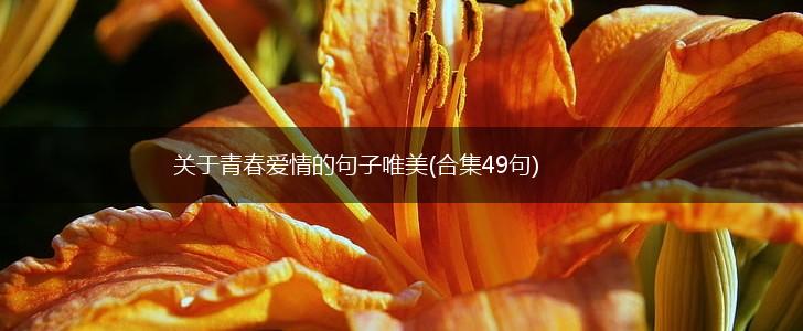 关于青春爱情的句子唯美(合集49句),第1张