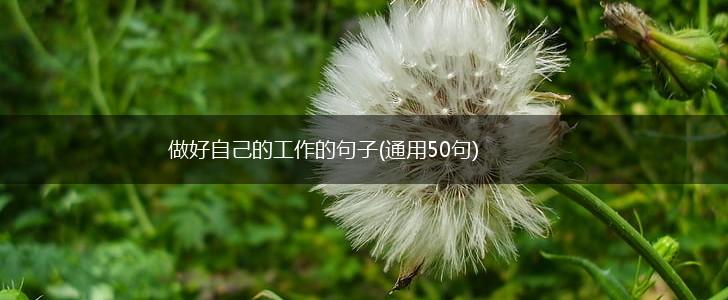 做好自己的工作的句子(通用50句),第1张