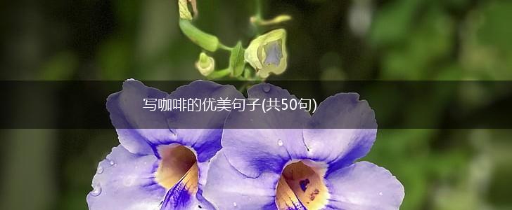 写咖啡的优美句子(共50句),第1张