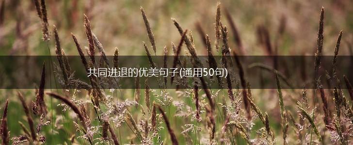 共同进退的优美句子(通用50句),第1张