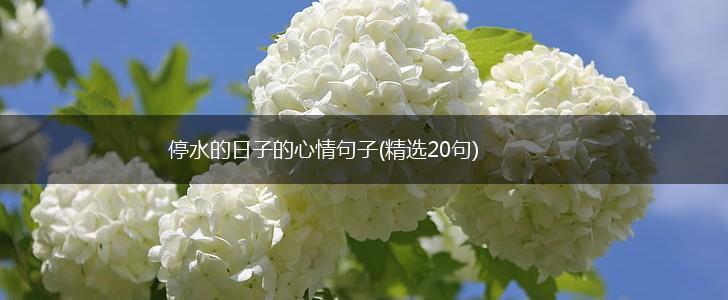 停水的日子的心情句子(精选20句),第1张