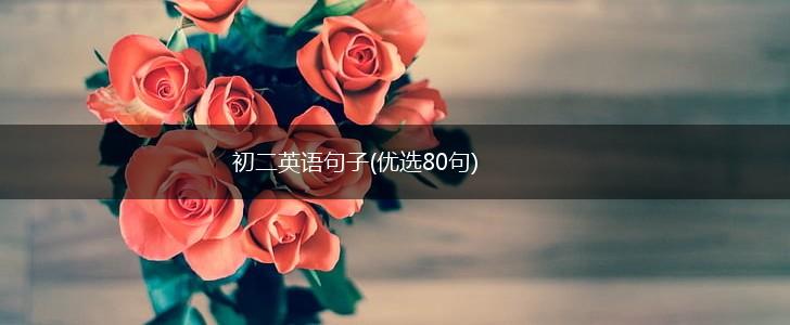 初二英语句子(优选80句),第1张