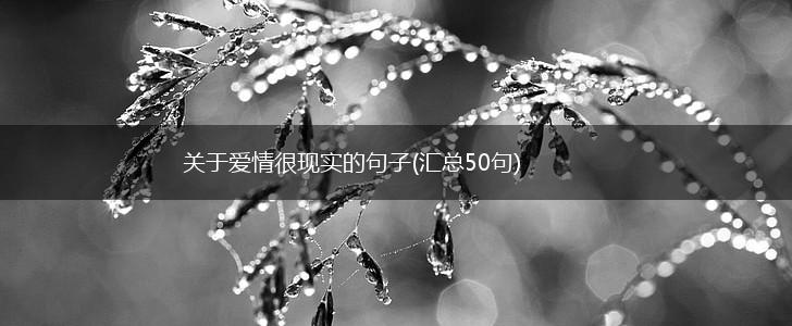 关于爱情很现实的句子(汇总50句),第1张