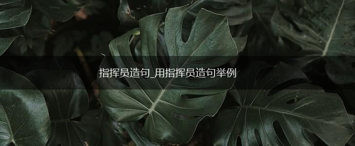 指挥员造句_用指挥员造句举例,第1张