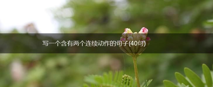 写一个含有两个连续动作的句子(40句),第1张