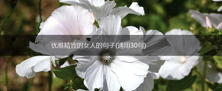 优雅精致的女人的句子(通用30句),第1张
