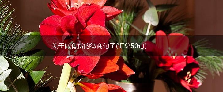 关于做有货的微商句子(汇总50句),第1张