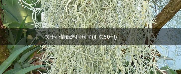 关于心情低落的句子(汇总50句),第1张