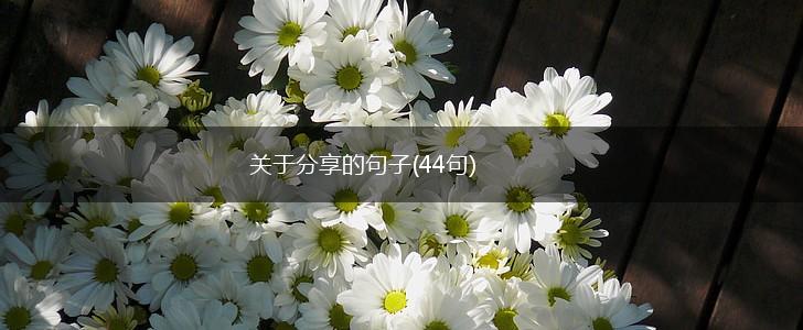 关于分享的句子(44句),第1张