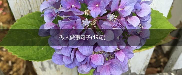 做人做事句子(49句),第1张