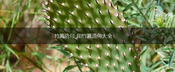 竹篱造句_用竹篱造句大全,第1张