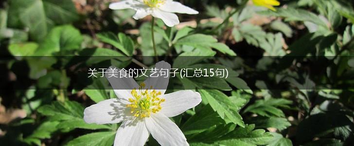 关于美食的文艺句子(汇总15句),第1张