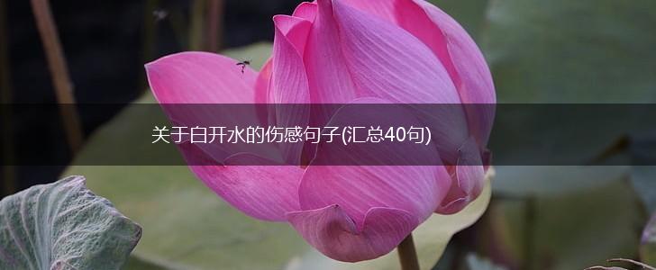 关于白开水的伤感句子(汇总40句),第1张